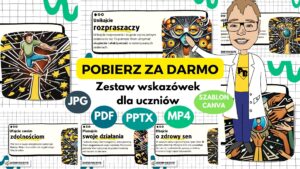Read more about the article Wskazówki dla uczniów – pobierz materiały